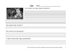 Tiger-Fragen-3.pdf